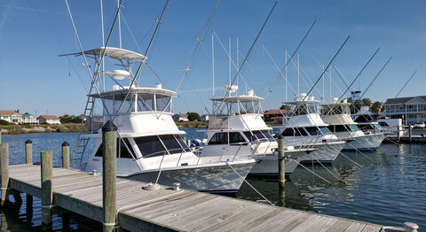 A row of sportfishing charter boats tied along a wooden pier in a small harbor, masts and outriggers against a blue sky.